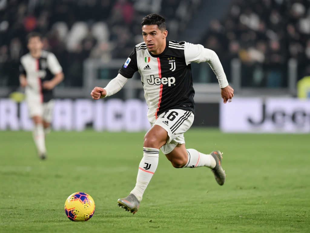 这并不是本 这并不是本